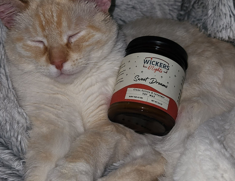 A content orange and white cat sleeping soundly next to a Wickers D'Lights 'Sweet Dreams' candle in a clear glass jar with a black lid. The candle's label features a clean cotton scent description, suggesting a calming and pet-friendly atmosphere